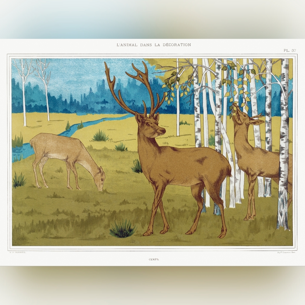 Vintage Deer Art Print